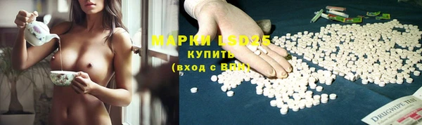 стафф Армянск