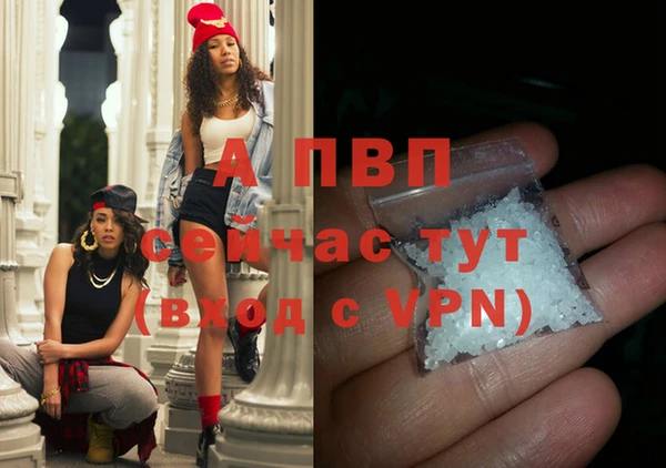 стаф Арсеньев