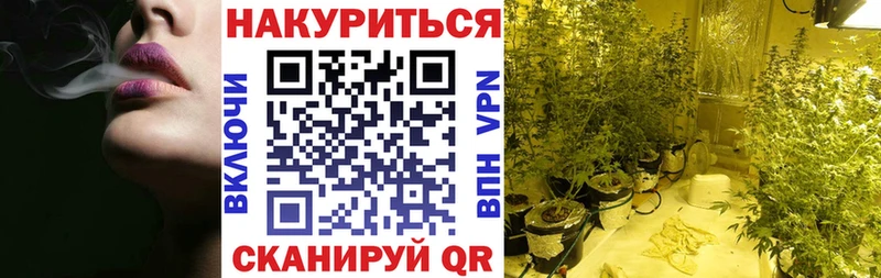 даркнет клад  Полярные Зори  Бошки Шишки ГИДРОПОН 